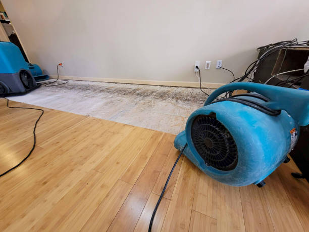 Professional Water Extraction technician working in Parsons, KS
